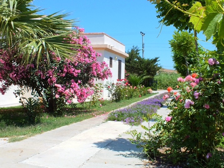 bozcaada mine tatil evleri merkez mine tatil evi